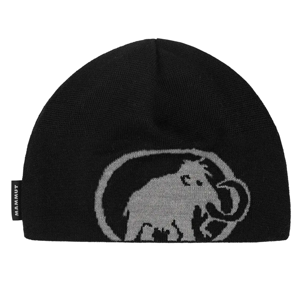 Mammut Шапка Mammut Tweak Beanie black-steel