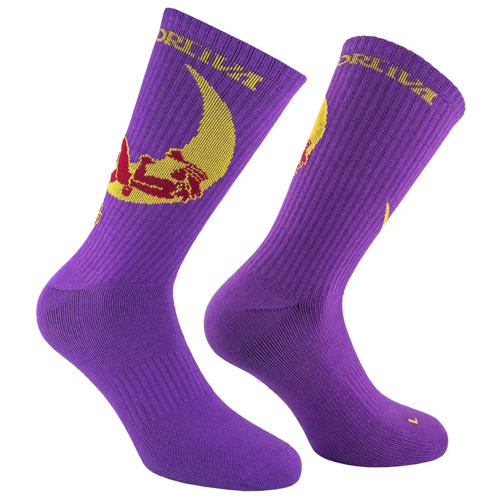 La Sportiva Шкарпетки чоловічі La Sportiva Climbing on the Moon purple/yellow