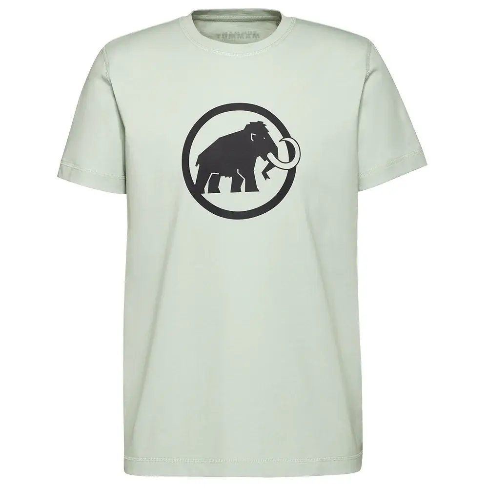 Mammut Футболка чоловіча Mammut Core T-Shirt Classic silver sage