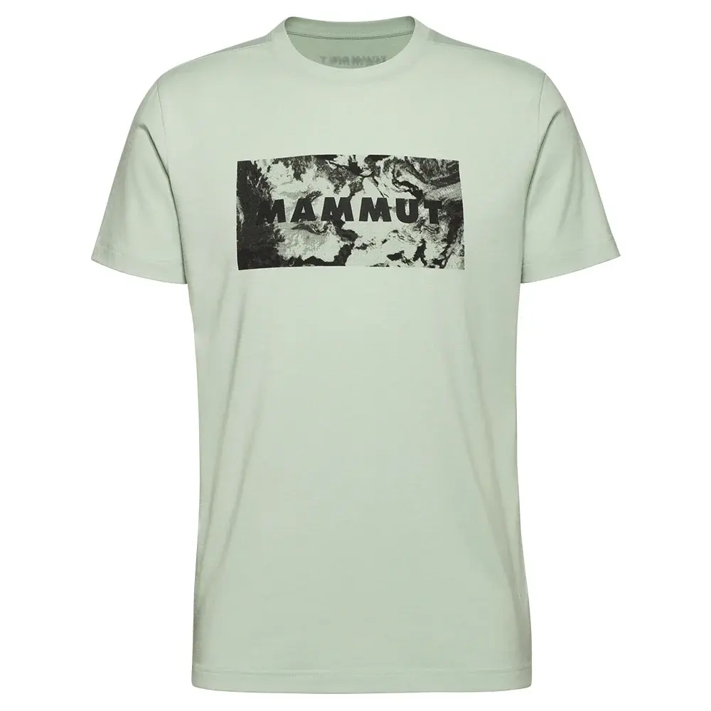 Mammut Футболка чоловіча Mammut Trovat T-Shirt Logo silver sage